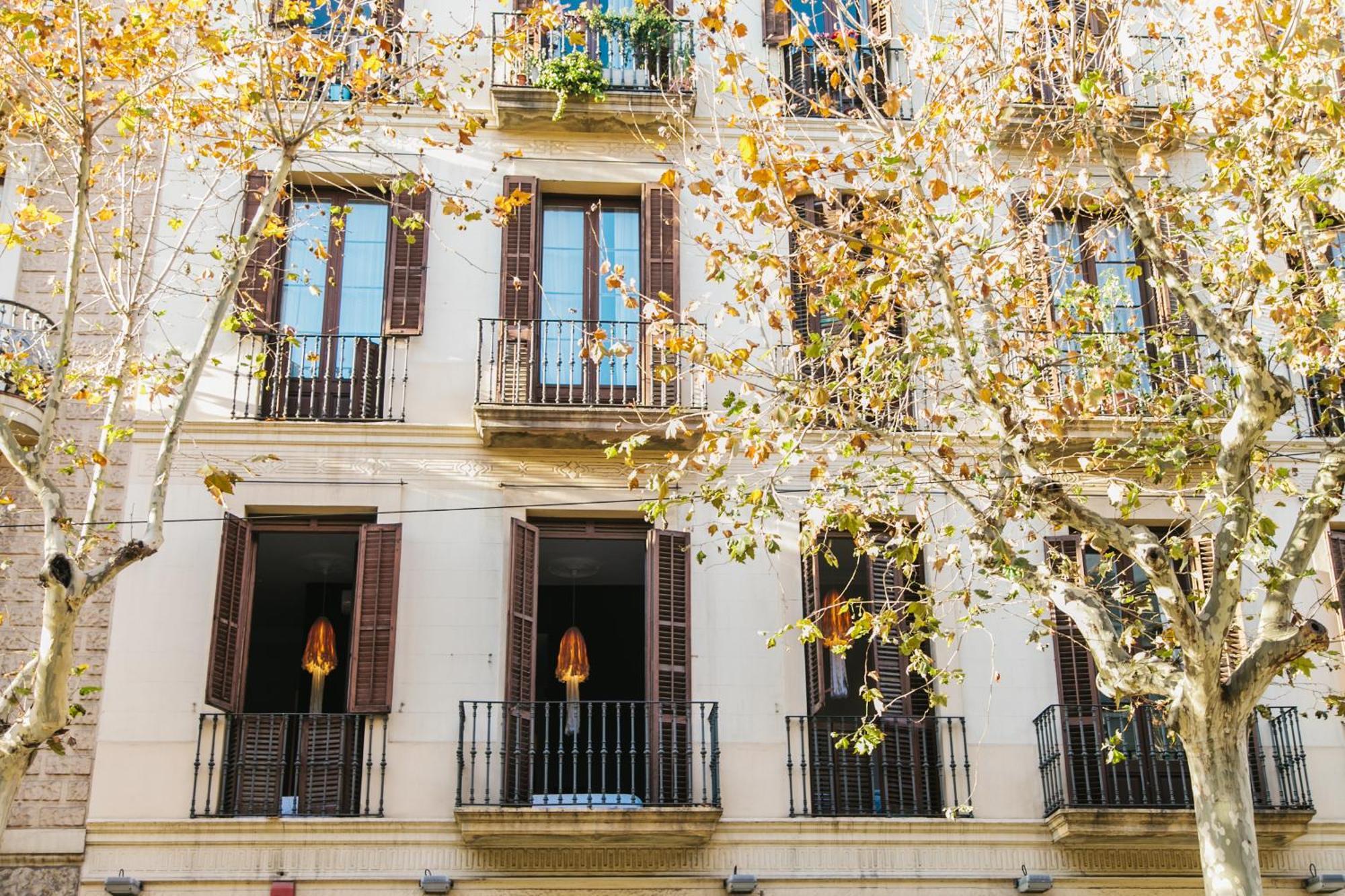 Casa de hóspedes Zoorooms Boutique